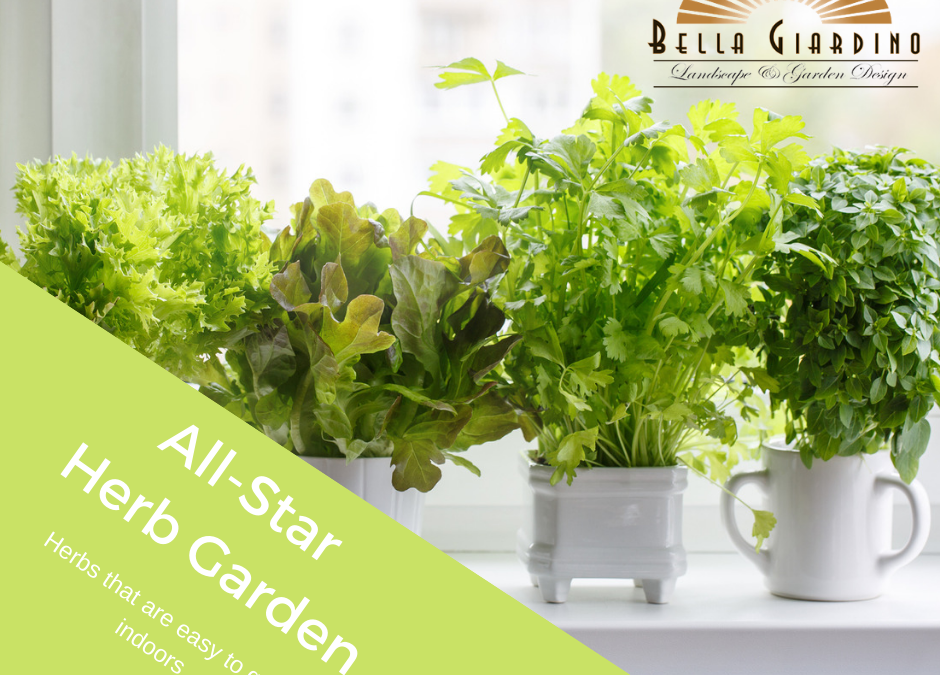 All -Star Herb Garden