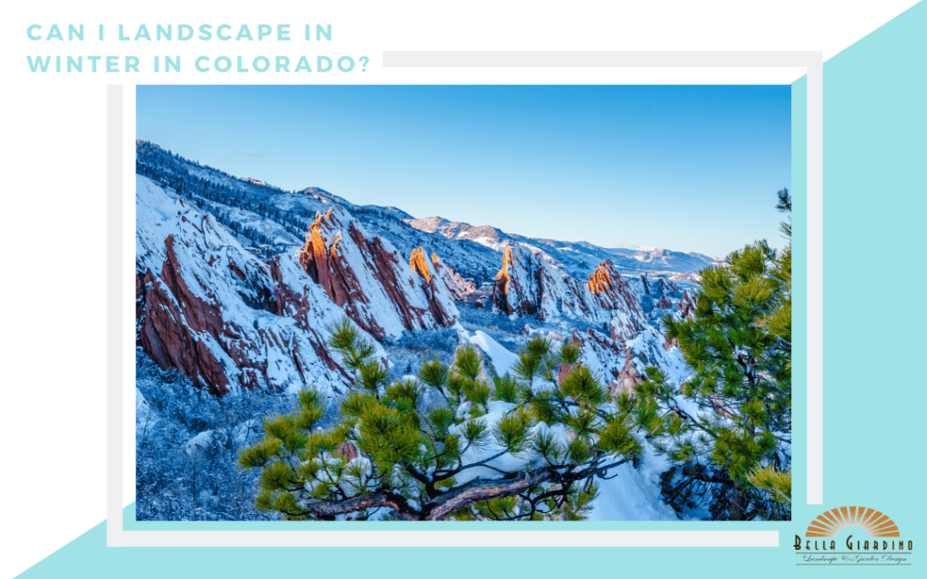 Can I Landscape