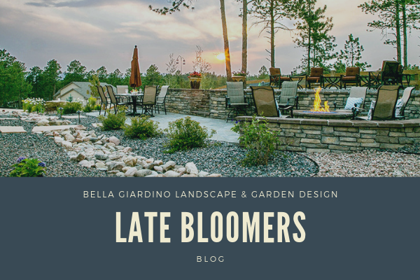 Late Bloomers