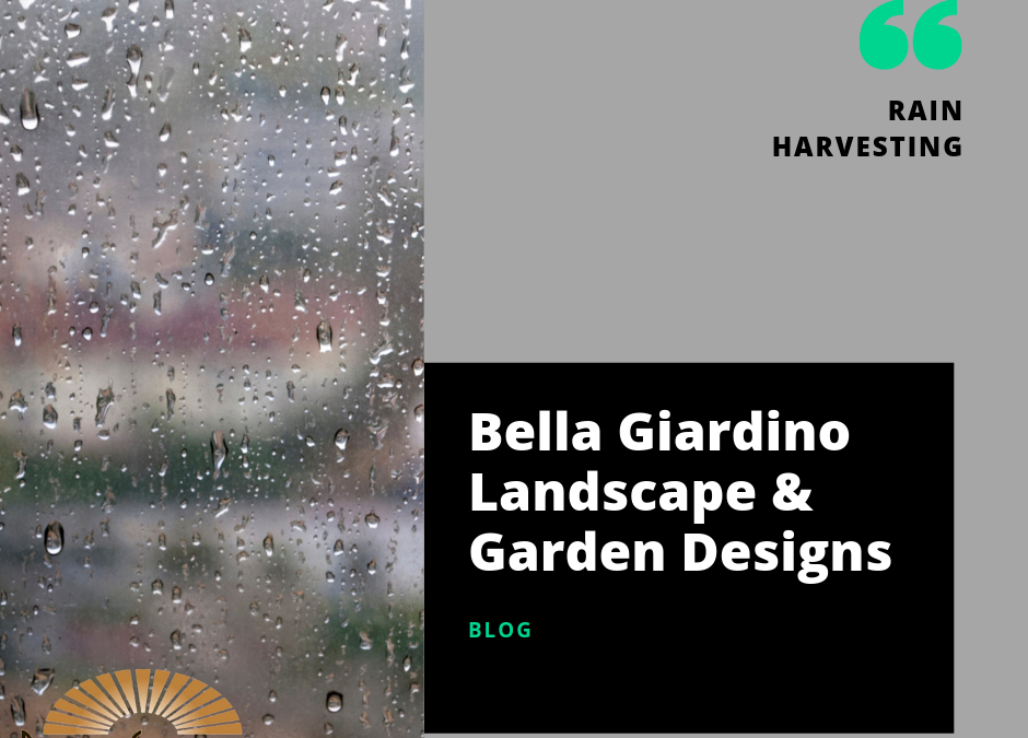 Rain Harvesting