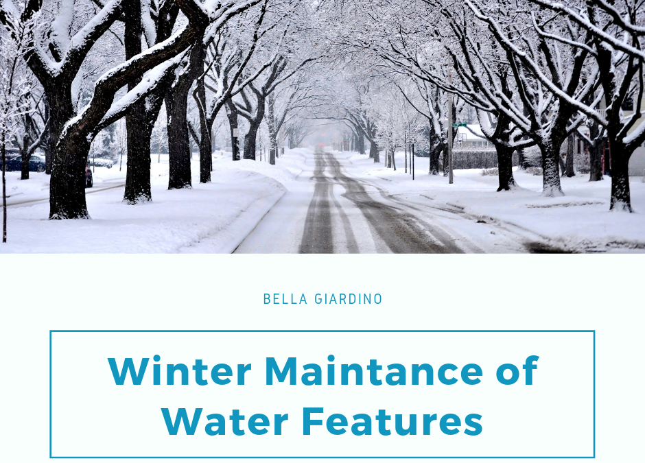 Winter maintance of Water Features